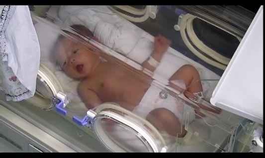 小石榴满月啦!这个“云派对”有点嗨